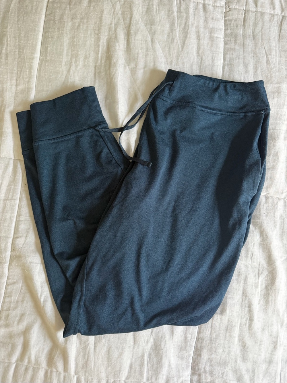 Patagonia Womens Joggers